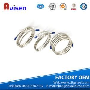 ASTM A249 Stainless Steel Capillary Tube (304, 316L, 321, 310S, 2205)