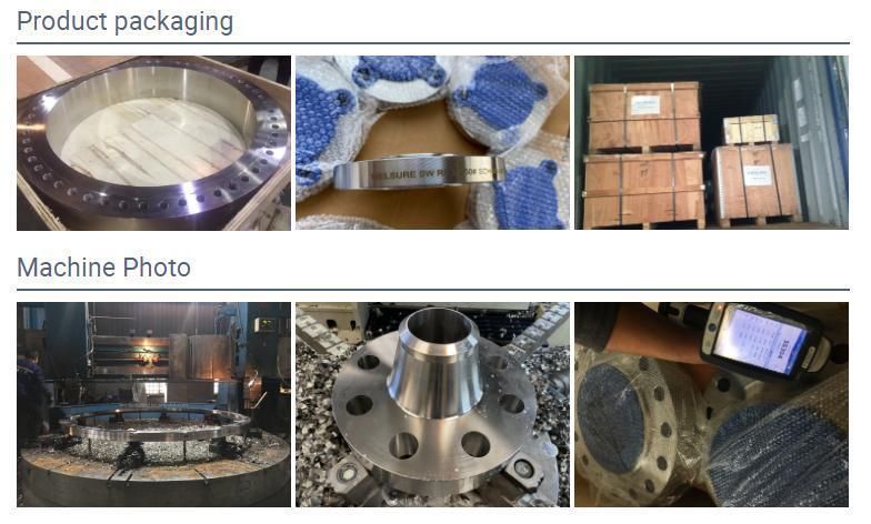 Forged ASME B16.5 A182 F44 254smo S31254 Wn RF Flange Stainless Steel Flange