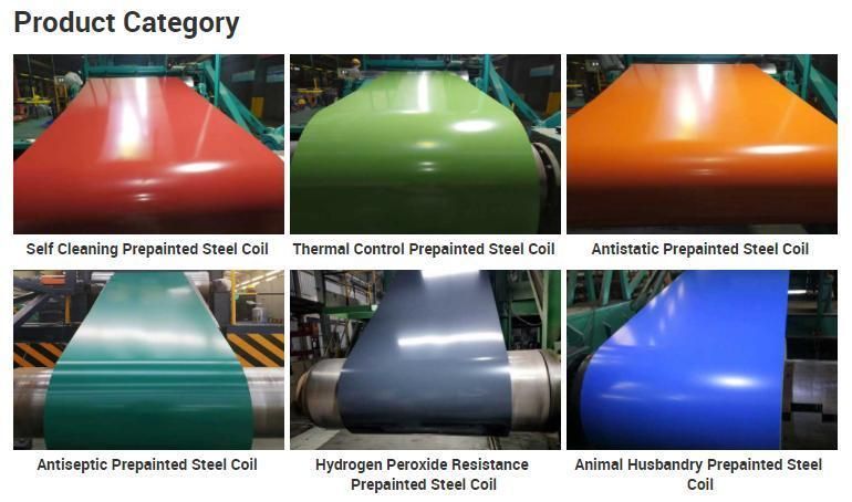 Matt Color Prepainted Steel PPGI / Wrinkle Color Coated Steel PPGI / Z60g Steel Coil PPGI