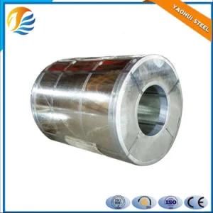 Prime Hot-Dipped Galvanized Steel Coil with Factory Price