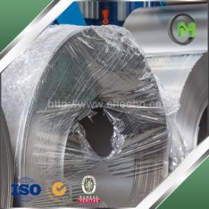 Prime Quality Dr8 Printed Tinplate Coil for Beverage Can Making