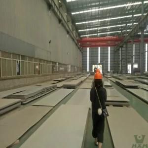 0.1mm 0.3mm 0.4mm 0.6mm 1.2mm 1.5mm 1.8mm Thickness Stainless Steel Sheet
