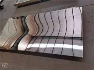 Cold Rolled/Hot Rolled 316 Stainless Steel Plate with Good Quality
