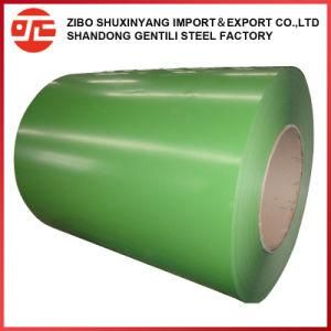 Ral Color Pre-Painted Galvanzied Steel Sheet PPGI