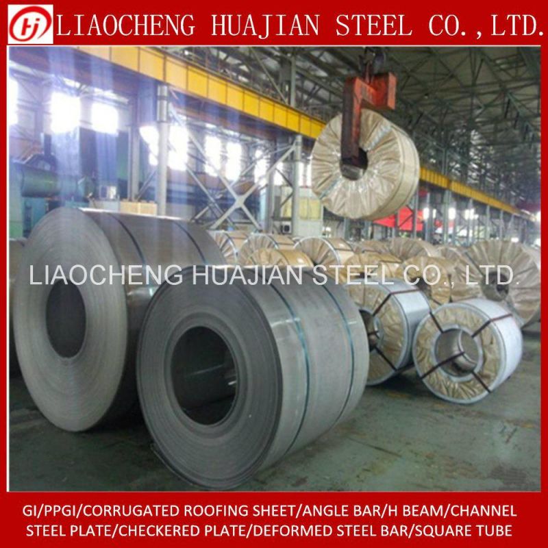 Hot Rolled Carbon Steel Coil for Building