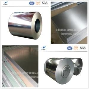 Galvanized Gi Steel Coil of High Quality and Reasonable Price