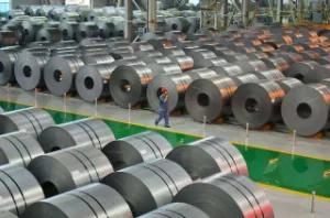 Professional Manufacture of Prepainted Galvanized Steel Coil Gl