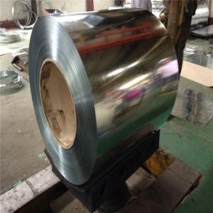 Hot Dipped Galvanized Steel Sheet in Coils Zn40g