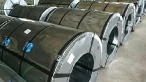Color Steel Roofing Material Pre Painted Coil Zinc Galvanized Steel Rollers PPGI Sheet