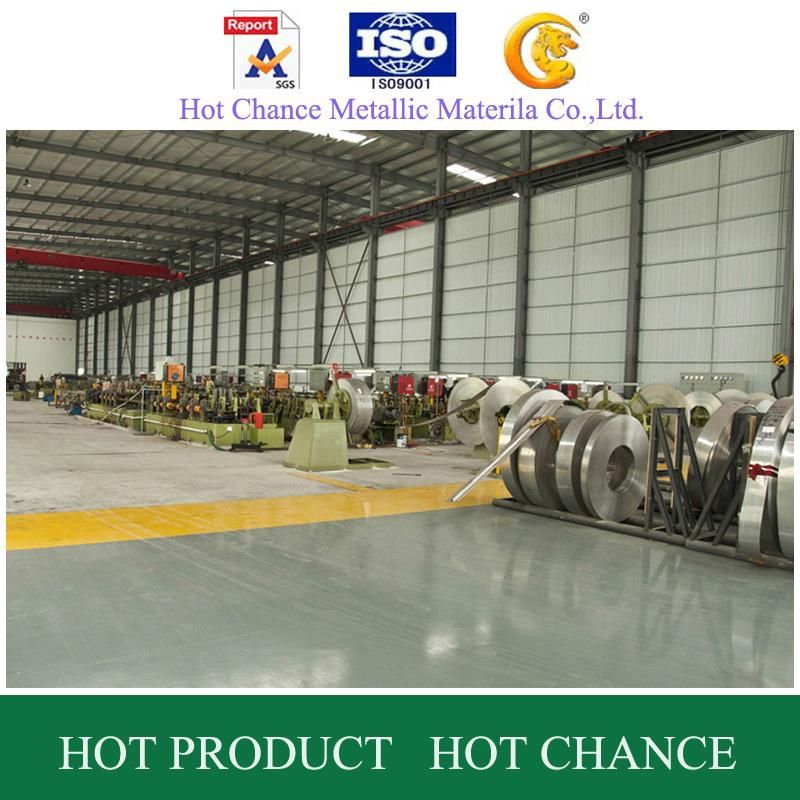 Decorative Stainless Steel Tube and Pipe