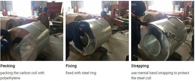 Hot Rolled Steel Iron Sheet / Plate and Coil