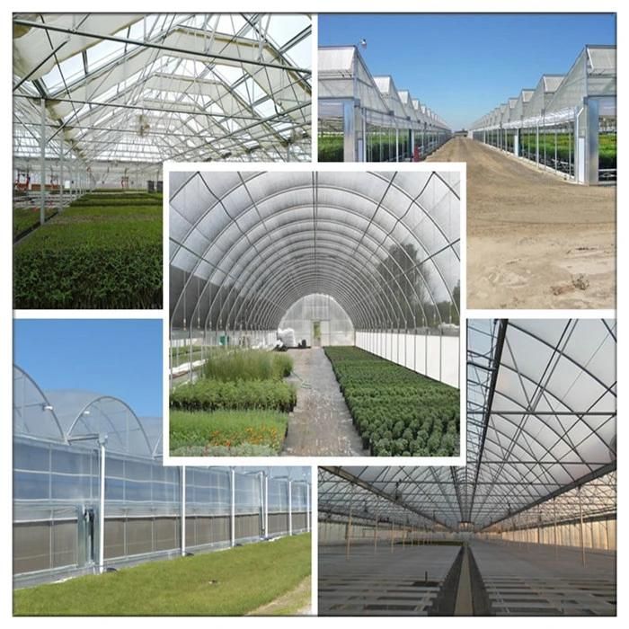 Best Selling Q235/Q195/Q345 China Galvanized Seamless Steel Pipe Used for Greenhouses