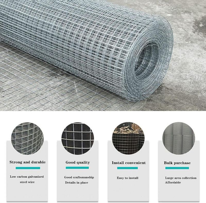 Factory 1/4 Inch 1/2inch Wire Mesh Stainless Steel Welded Iron Wire Mesh/Wire Mesh Welded Netting