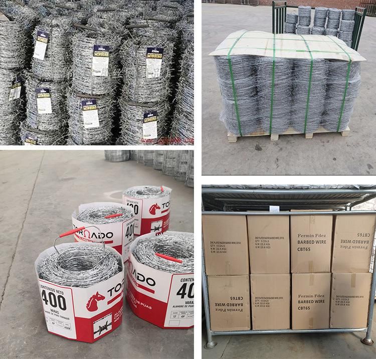 Factory Direct Barbed Wire High Tensile 1.6mm Double Twisted Razor Barbed Wire