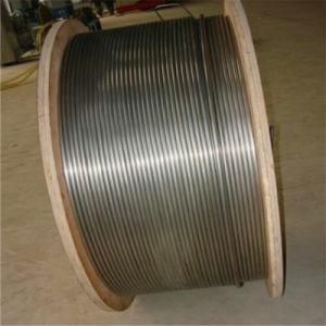 304 Stainless Steel Coiled Tube for Pharmaceutical Equipment