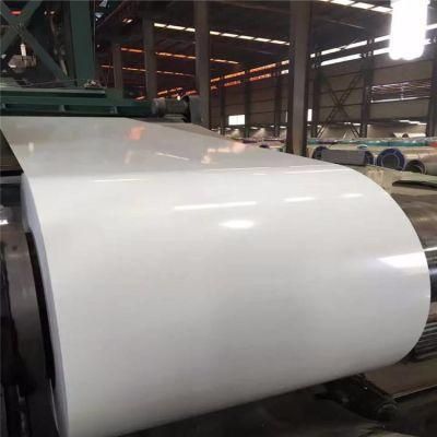 Pre Painted Gi Steel Coil PPGI PPGL Color Coated Galvanized Gi Steel Sheet in Coil