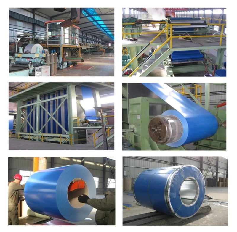 Cold Rolled 30GSM Color Coated Flower Galvanized Steel Coil