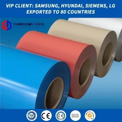 Galvanized Steel Strips Coils Samples / Hdgi Strips / PPGI Strips Ral Colors Roll Coil and Sheets
