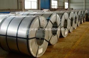 Galvanized Steel Coil/Sheet