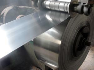Galvanized Steel Strip on Sale (0.2mm-4mm thickness)