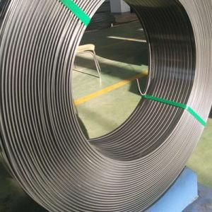 ASTM AISI SAE 1055 Grade Flat Steel Wire