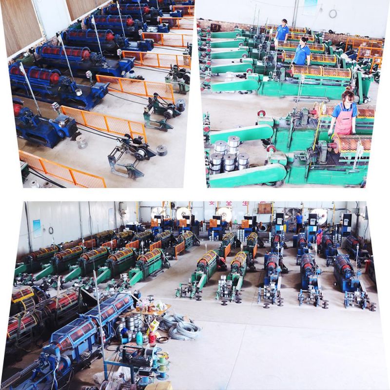 Factory Price Wire Rope Stainless Steel Wire Rope for Sale