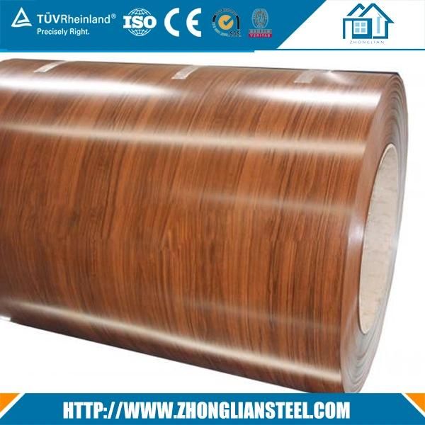 Pre-Painted Color Steel Coil (PPGI/ PPGL)