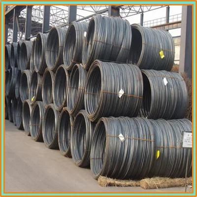 Customized High Carbon Steel Wire/Stainless Steel Spring Wire