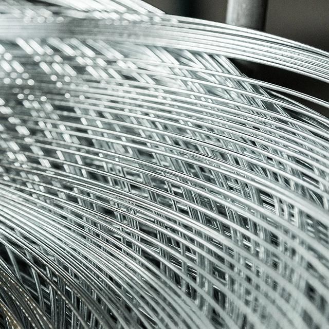 2.0-4.0mm Soft Galvanized Steel Wire /Galvanized Iron Wire/Gi Wire for Wire Mesh