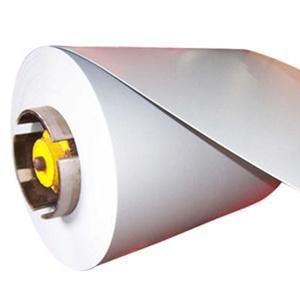 0.4mm PPGI/PPGL Color Galvanized/Aluzinc Steel Coil