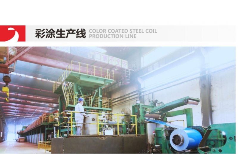 Color Coated Cold Rolled Galvanized Steel Coil