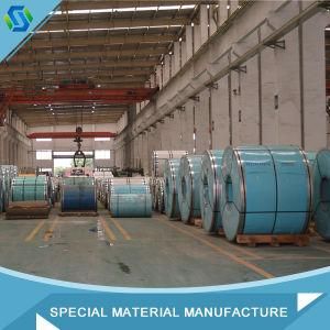 310 Cold Rolled Stainless Stel Coil / Belt / Strip for Sale
