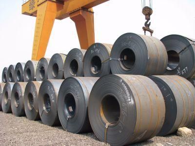 Hot Rolled Prime Ss400 Q235 Q345 Carbon Steel Coil at Factory Price