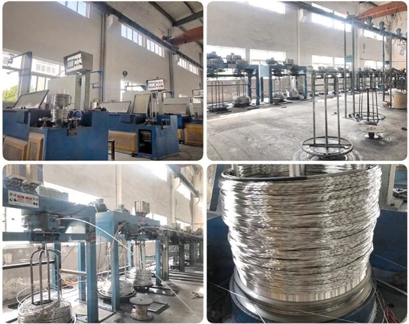 Chinese Suppliers Medium Carbon Motorcycle Bicycle Spoke Steel Wire