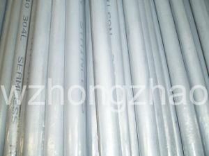 Stainless Steel Seamless Pipe (304L)