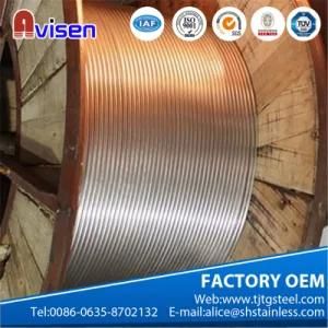 Tp 316 Stainless Steel Coil Pipe for Oil and Gas Wells