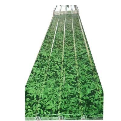 Cold Rolled Steel Plate Galvanized Corrugated PPGI Steel Roofing Sheet for Wall