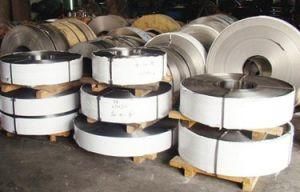 Supply Stainless Steel Coil (201/304/430/316)