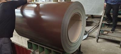 Best Price Building Material PPGI Galvanized Steel Coil