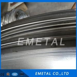 Inox 201 304 430 Cold Rolled Stainless Steel Narrow Strip 2b Ba No. 4 No. 8 for Making Pipe