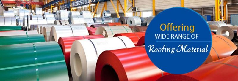 China Supplier Ray Color Zinc Coated 275g Galvanized Steel Coil with Competitive Price