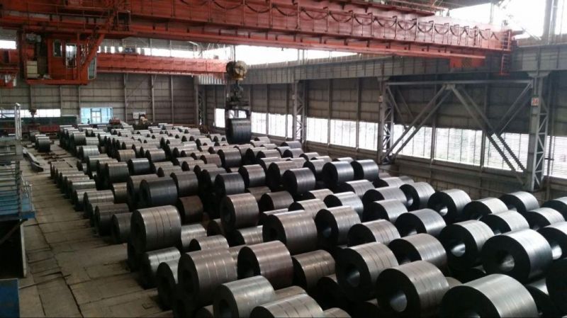 Hr Steel Coil Ss400 A36 Q235 Q345 Q195 Hot Rolled Steel Coil