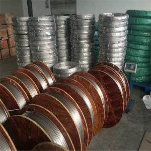 Sh Brand Alloy 825 Stainless Steel Coil Tubes with Good Price