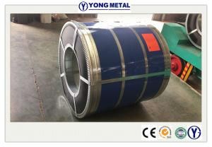 Acero Galvanizado Y Prepintado con Buen Precio