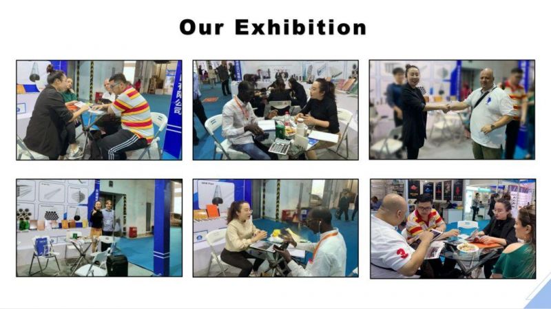 China Prefessional Electro Galvanised Iron Wire Building Material Galvanized Steel Wire for Greenhouse