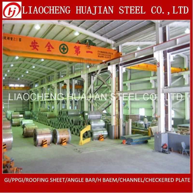 Galvanized Iron Steel Coil with OEM Manufacturer