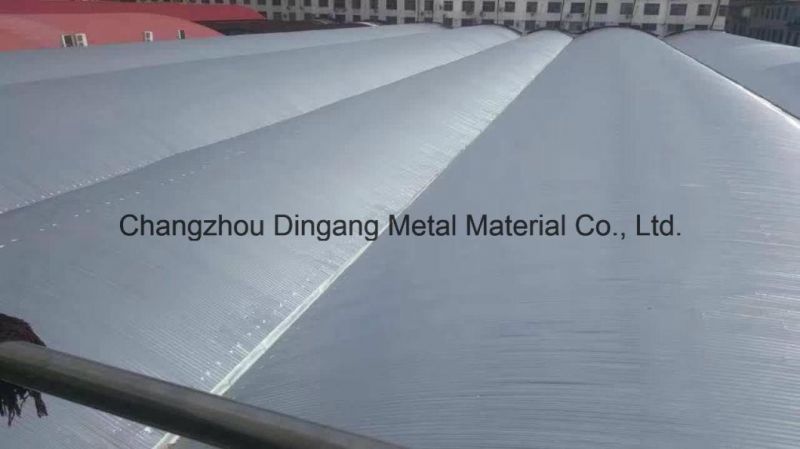 Weather Resistant Prepainted Steel Roofing Panel