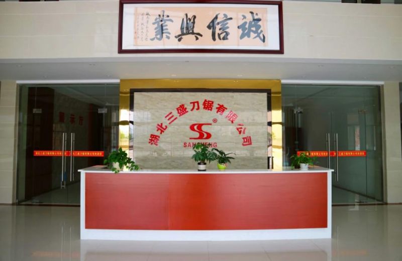 65mn Carbon Strip Sk5 High Carbon Steel Strip White Finishing 65mn Steel Strips100X1.15mm