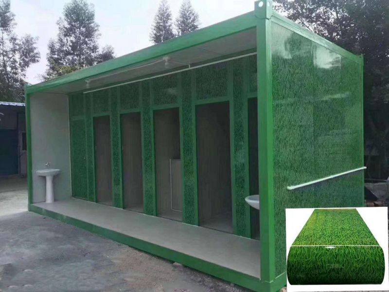 High Class Grass Pattern Rolled Color Coated Steel Coil