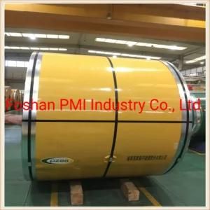 High Quality/Super Corrosion Resistance 309S/310S Stainless Steel Sheet/Plate/Coil for Industry
